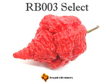 Load image into Gallery viewer, RB003 Select