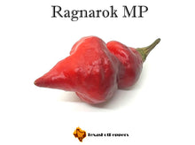 Load image into Gallery viewer, Ragnarok MP