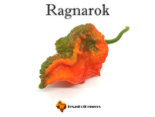 Load image into Gallery viewer, Ragnarok