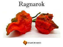 Load image into Gallery viewer, Ragnarok