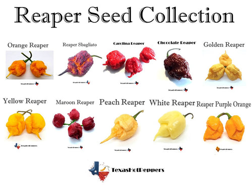Reaper Seed Collection - 10 Diff Varieties