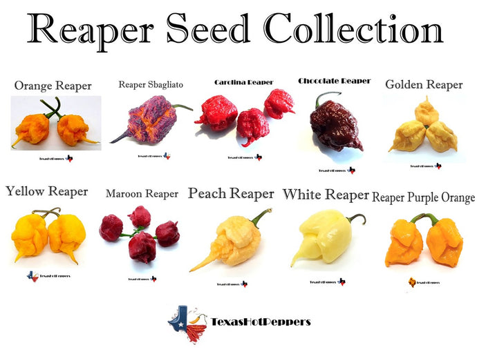 Reaper Seed Collection - 10 Diff Varieties