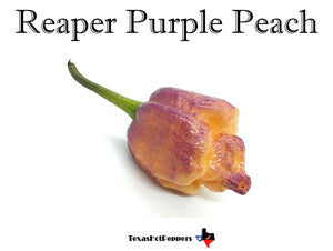 Reaper Purple Peach