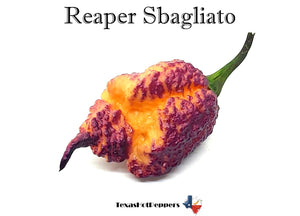 Reaper Sbagliato