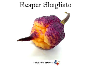 Reaper Sbagliato