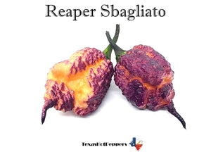 Reaper Sbagliato