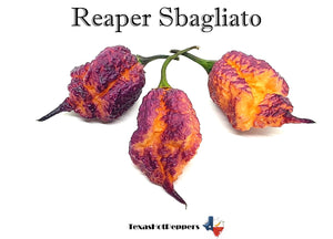 Reaper Sbagliato