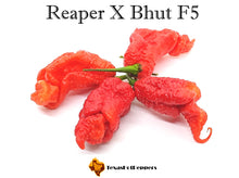 Load image into Gallery viewer, Reaper X Bhut