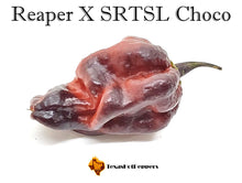 Load image into Gallery viewer, Reaper X SRTSL Choco