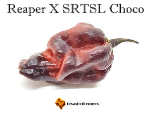 Reaper X SRTSL Choco
