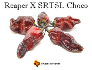 Reaper X SRTSL Choco