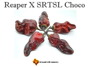 Reaper X SRTSL Choco