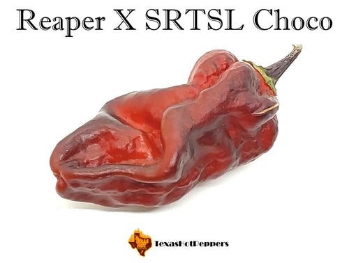 Reaper X SRTSL Choco