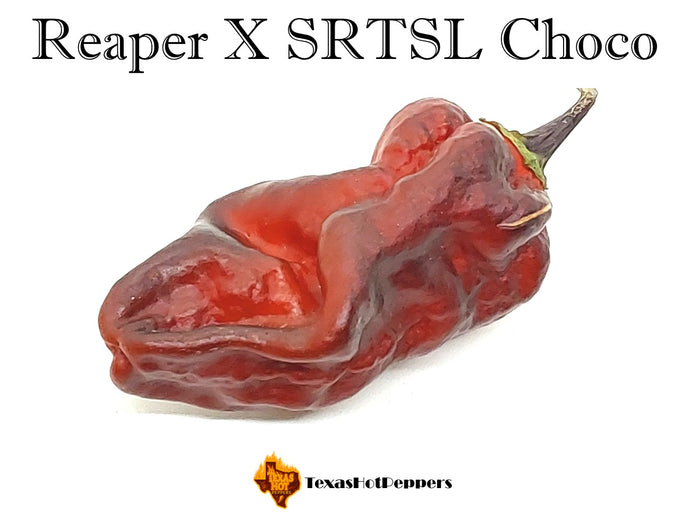 Reaper X SRTSL Choco