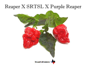 Reaper X SRTSL X Purple Reaper