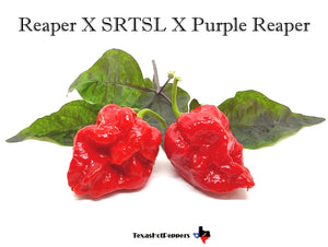 Reaper X SRTSL X Purple Reaper