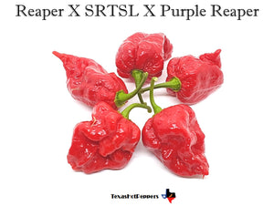 Reaper X SRTSL X Purple Reaper