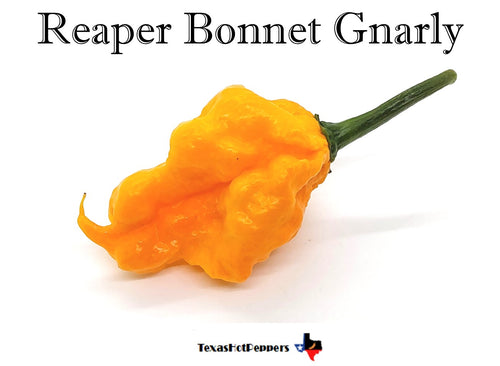 Reaper Bonnet Gnarly