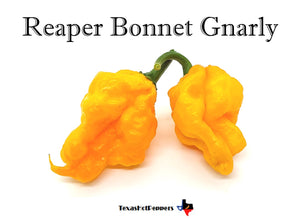 Reaper Bonnet Gnarly