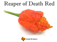 Load image into Gallery viewer, Reaper of Death Red