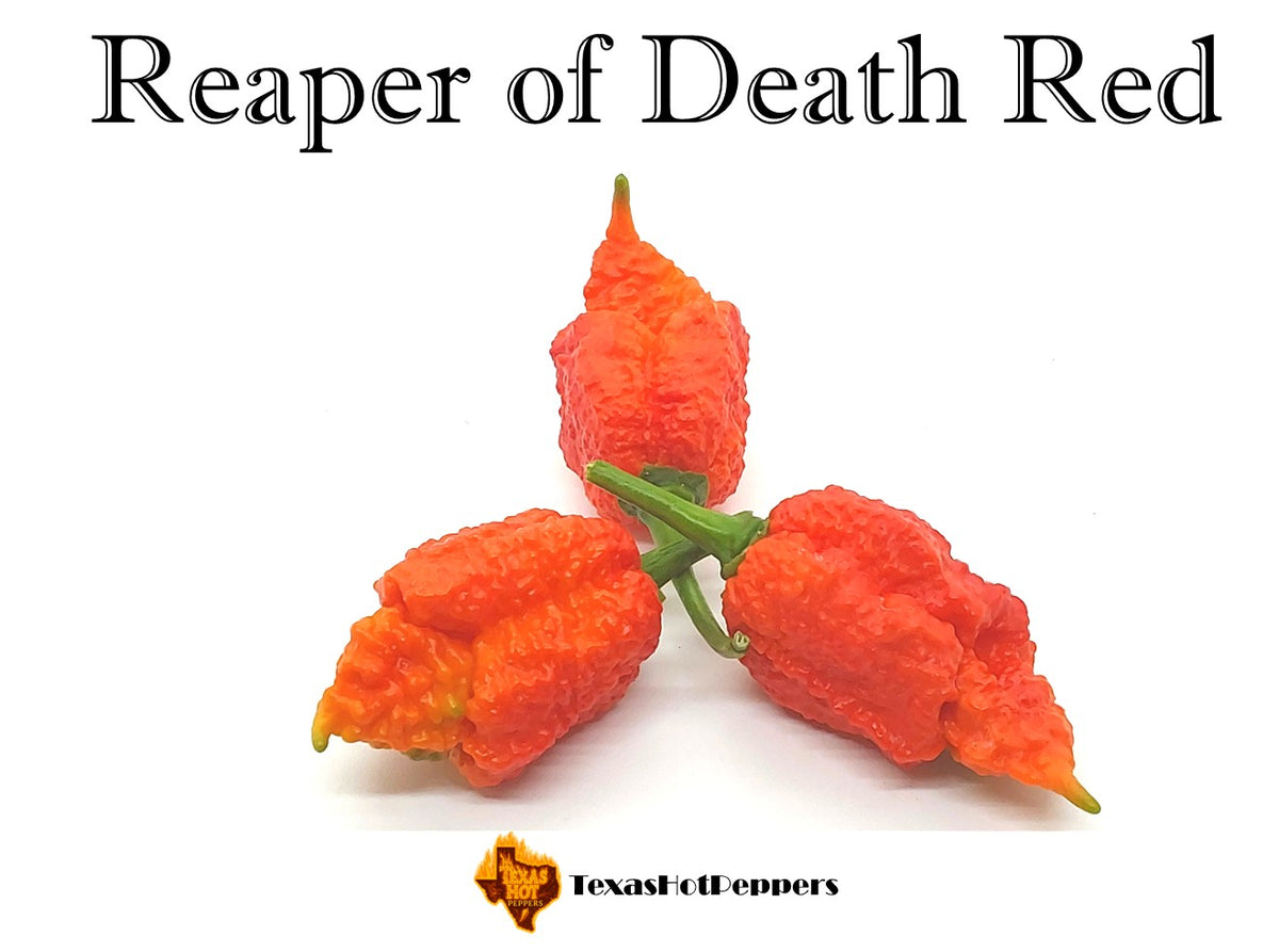 Reaper of Death Red – Texas Hot Peppers