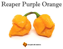 Load image into Gallery viewer, Reaper Purple Orange