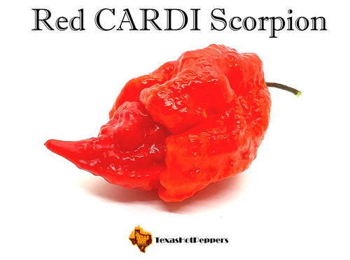 Red CARDI Scorpion