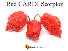 Load image into Gallery viewer, Red CARDI Scorpion