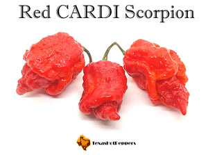 Red CARDI Scorpion