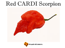 Load image into Gallery viewer, Red CARDI Scorpion