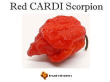 Load image into Gallery viewer, Red CARDI Scorpion