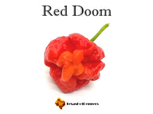 Load image into Gallery viewer, Red Doom