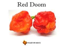 Load image into Gallery viewer, Red Doom