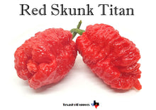 Load image into Gallery viewer, Red Skunk Titan