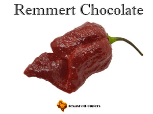 Remmert Chocolate