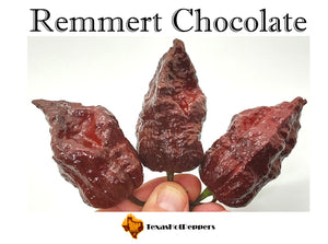 Remmert Chocolate
