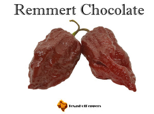 Remmert Chocolate