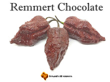 Load image into Gallery viewer, Remmert Chocolate