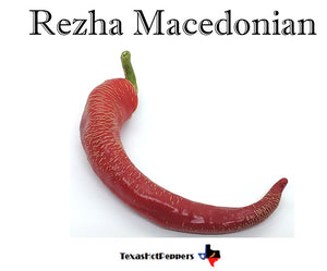Rezha Macedonian