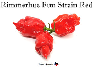 Rimmerhus Fun Strain Red