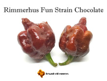Load image into Gallery viewer, Rimmerhus Fun Strain Chocolate