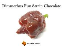Load image into Gallery viewer, Rimmerhus Fun Strain Chocolate