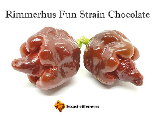 Rimmerhus Fun Strain Chocolate