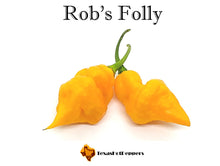 Load image into Gallery viewer, Rob&#39;s Folly