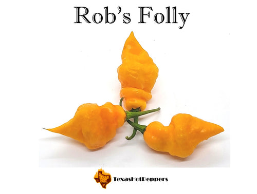 Rob's Folly