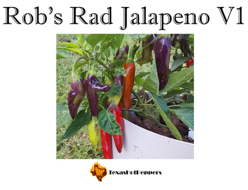 Rob's Rad Jalapeno V1