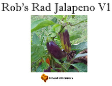 Load image into Gallery viewer, Rob&#39;s Rad Jalapeno V1