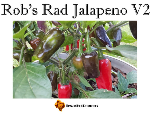 Rob's Rad Jalapeno V2