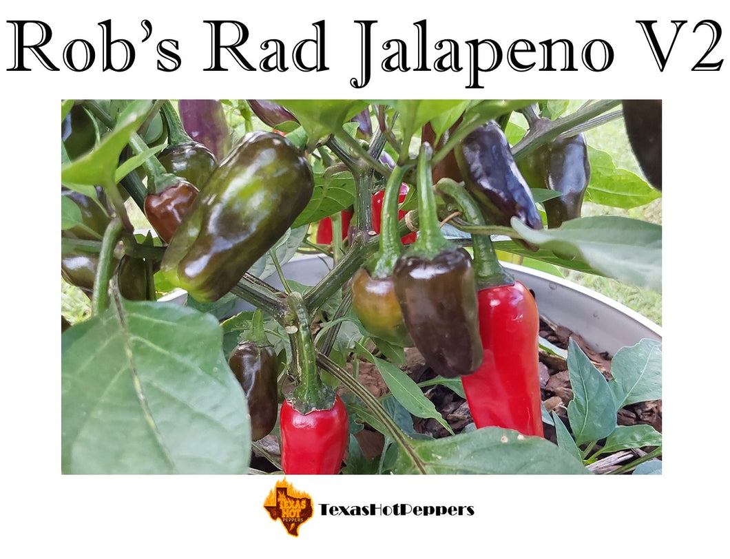 Rob's Rad Jalapeno V2