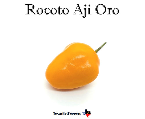 Rocoto Aji Oro